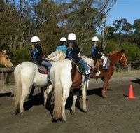 Darkes Forest Riding Ranch - Yamba Accommodation