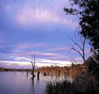 Loch Luna Game Reserve and Moorook Game Reserve - Yamba Accommodation