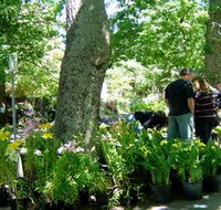 The Stirling Market - Yamba Accommodation