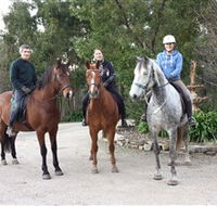 Academy of Dressage - Yamba Accommodation