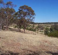 Onkaparinga River National Park - Yamba Accommodation