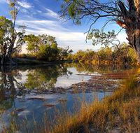 Murray River National Park - Yamba Accommodation