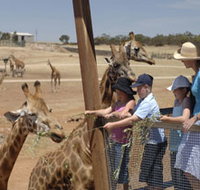 Monarto Open Range Zoo - Yamba Accommodation