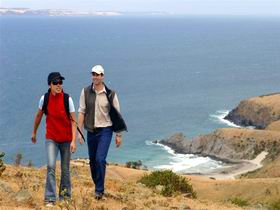 Delamere SA Yamba Accommodation