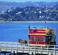 Granite Island Recreation Park - Yamba Accommodation