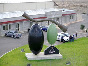 The Big Olive - Yamba Accommodation 0