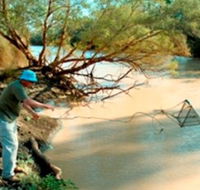 Charleville - Ward River Fishing Spot - Yamba Accommodation