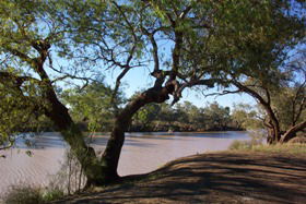 Charleville - Bakers Bend Warrego River Fishing Spot - Yamba Accommodation 1