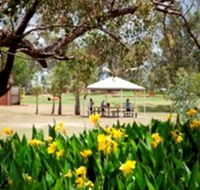 Charleville - Graham Andrews Parklands - Yamba Accommodation
