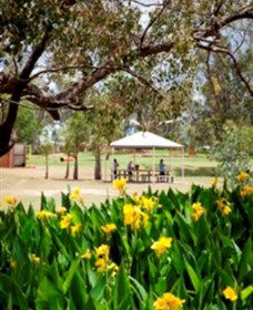 Charleville - Graham Andrews Parklands - Yamba Accommodation 0