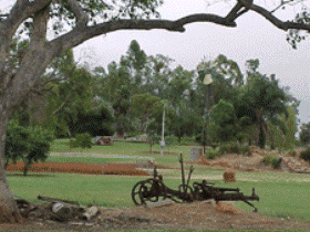 Charleville - Graham Andrews Parklands - Yamba Accommodation 2