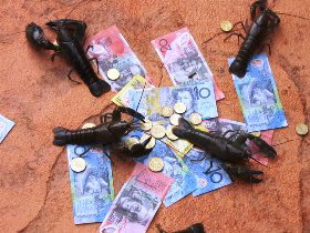 BAILEY BAR CARAVAN PARK - Yamba Accommodation 2