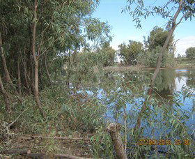 Thegoa Lagoon And Reserve - Yamba Accommodation 1