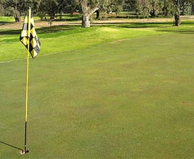 Wentworth Sporting Complex - Yamba Accommodation 0