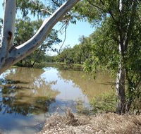 Red Bank Park - Yamba Accommodation