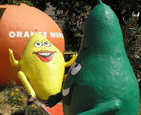 Orange World - Yamba Accommodation 0