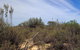 Wyperfeld National Park - thumb 0