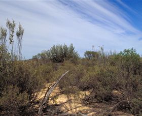 Wyperfeld National Park - Yamba Accommodation 0