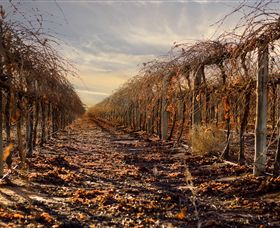 Andrew Peace Wines - Yamba Accommodation 2