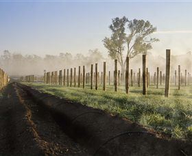 Andrew Peace Wines - Yamba Accommodation 5