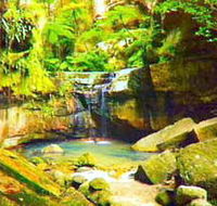 Carnarvon Gorge Carnarvon National Park - Yamba Accommodation