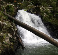 Souita Falls - Yamba Accommodation