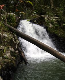Souita Falls - Yamba Accommodation 0