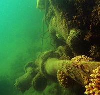 Wreck Diving at Magnetic Island - Yamba Accommodation