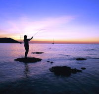 Fishing at Magnetic Island - Yamba Accommodation