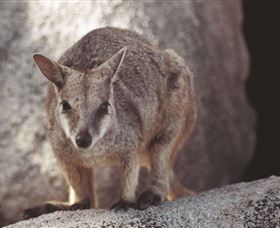 Arcadia At Magnetic Island - Yamba Accommodation 2