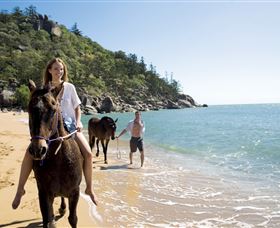 Horseshoe Bay - Yamba Accommodation 1
