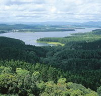 Lake Tinaroo - Yamba Accommodation