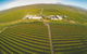 Golden Drop Winery - thumb 0