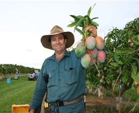 Golden Drop Winery - Yamba Accommodation 1