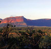 Blackdown Tableland National Park - Yamba Accommodation