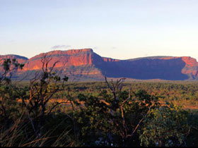 Blackdown Tableland National Park - Yamba Accommodation 0