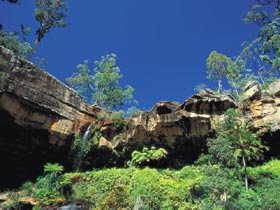 Blackdown Tableland National Park - Yamba Accommodation 1