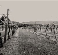 Halls Gap Estate - Yamba Accommodation