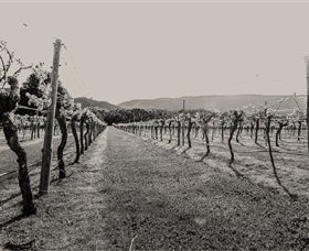 Halls Gap Estate - Yamba Accommodation 0