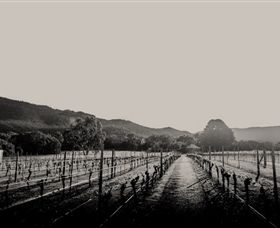 Halls Gap Estate - Yamba Accommodation 1