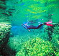 Piccaninnie Ponds Conservation Park - Yamba Accommodation