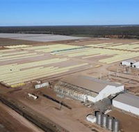 Southern Cotton Gin - Yamba Accommodation