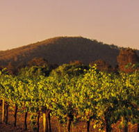 Taltarni Vineyards - Yamba Accommodation