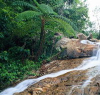 Finch Hatton Gorge - Yamba Accommodation