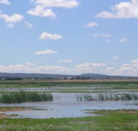 Fivebough Wetlands - Yamba Accommodation