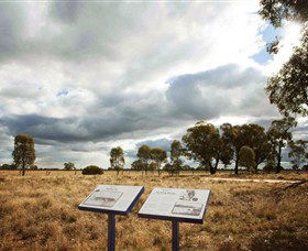 Backroads Trail - Yamba Accommodation 2