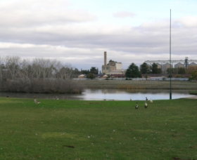 McCaughey Bicentennial Park - Yamba Accommodation 1