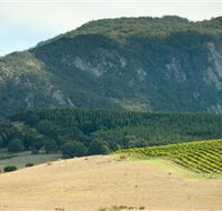 Langi Ghiran State Park - Yamba Accommodation