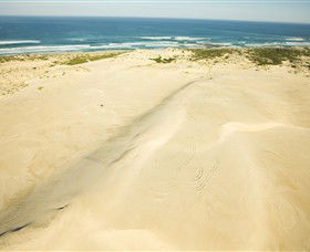 Discovery Bay Coastal Park - Yamba Accommodation 0