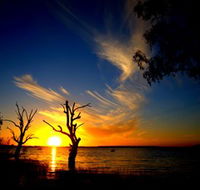 Lake Cowal - Yamba Accommodation
